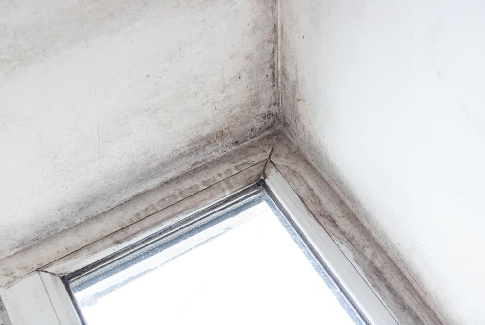 Can My Build be Too Airtight?